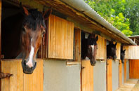 free Sporle stable construction quotes